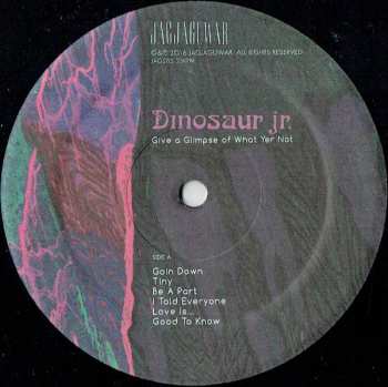 LP Dinosaur Jr.: Give A Glimpse Of What Yer Not