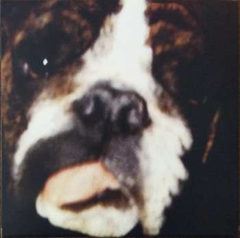 2LP Dinosaur Jr.: Hand It Over DLX | CLR