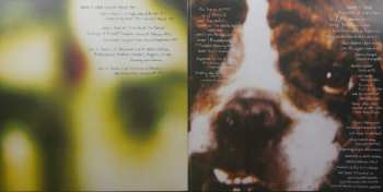 2LP Dinosaur Jr.: Hand It Over DLX | CLR