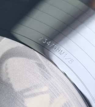 LP Dinosaur Jr.: Seventytwohundredseconds - MTV Live