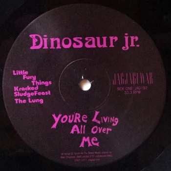 LP Dinosaur Jr.: You're Living All Over Me