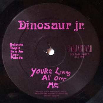 LP Dinosaur Jr.: You're Living All Over Me