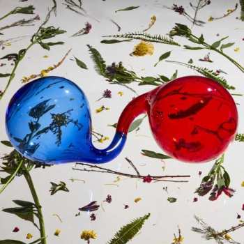LP Dirty Projectors: Lamp Lit Prose