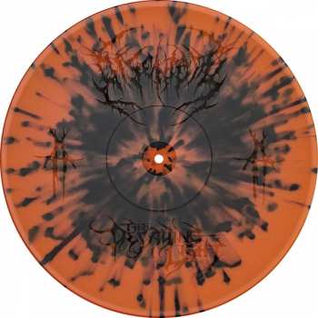 2LP Disentomb: The Decaying Light LTD | CLR