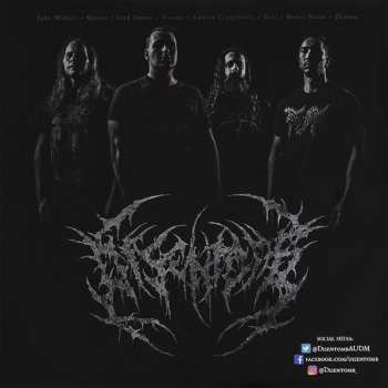 2LP Disentomb: The Decaying Light LTD | CLR