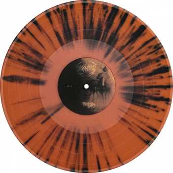 2LP Disentomb: The Decaying Light LTD | CLR