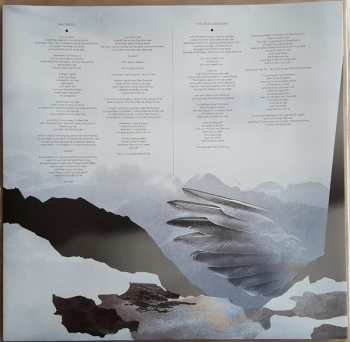 2LP Disillusion: The Liberation