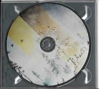 CD Dismalimerence: Recurrence LTD | DIGI