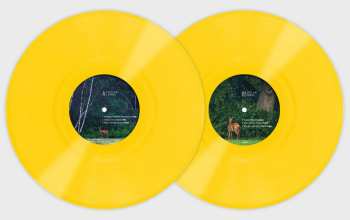 LP Dleeb: Holan Remixed  CLR | LTD | NUM
