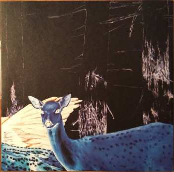 2LP Do Make Say Think: Stubborn Persistent Illusions