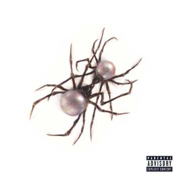 Album Doja Cat: Scarlet