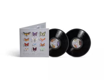 Lepidoptera