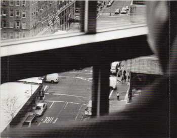 CD Donald Fagen: Morph The Cat