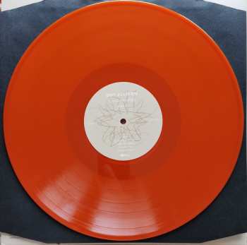 LP Dot Allison: Consciousology CLR | LTD