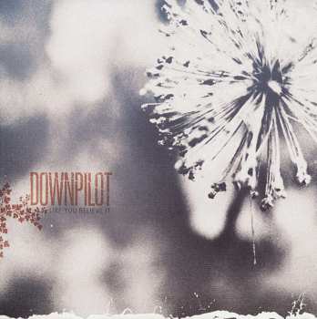 CD Downpilot: Like You Believe It