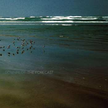 CD Downpilot: The Forecast