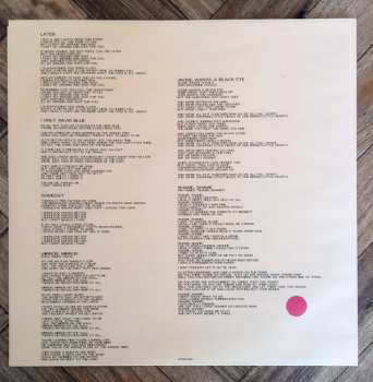 LP Dr. Dog: Shame, Shame