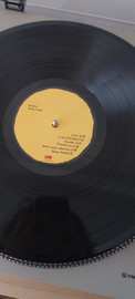 LP Dr. Dog: Shame, Shame