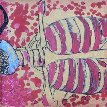 LP Dr. Dog: Shame, Shame CLR | LTD