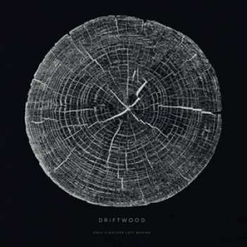 Album Driftwood: Only Fighters Left Behind
