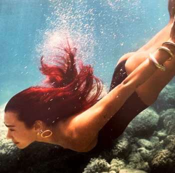 LP Dua Lipa: Radical Optimism CLR