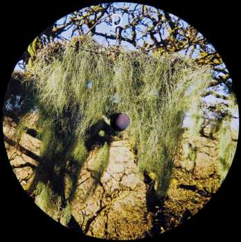 2LP Dub Dynasty: Holy Cow