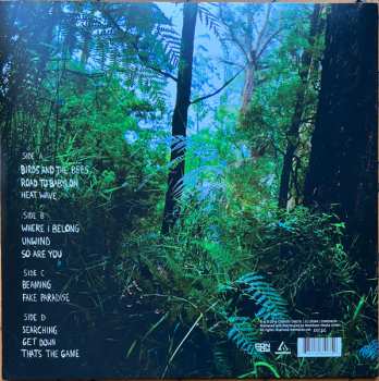 2LP Dub FX: Thinking Clear