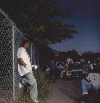 CD Dubee Aka Sugawolf: Turf Matic
