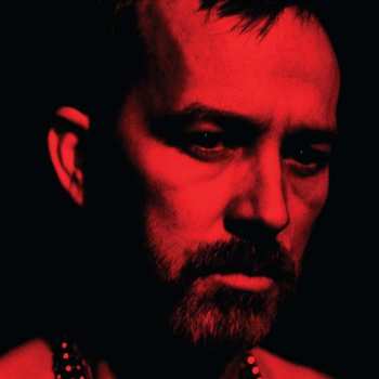 Album Duquette Johnston: The Social Animals
