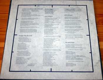 LP Duran Duran: Arena