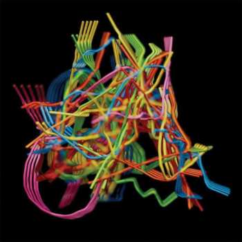 CD Dustin Wong: Perpetual Morphosis
