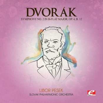 CD Antonín Dvořák: Symphony 2 B-flat Maj 4 B 12
