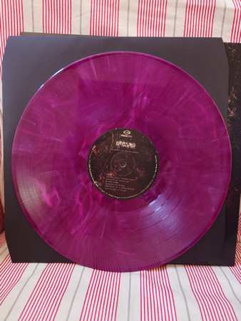 LP Dying Wish: Fragments Of A Bitter Memory