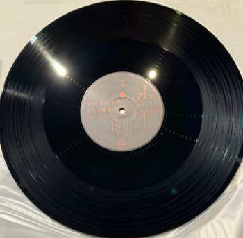 2LP Shiina Ringo: 逆輸入 ～航空局～ LTD