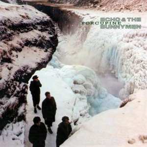 Album Echo & The Bunnymen: Porcupine