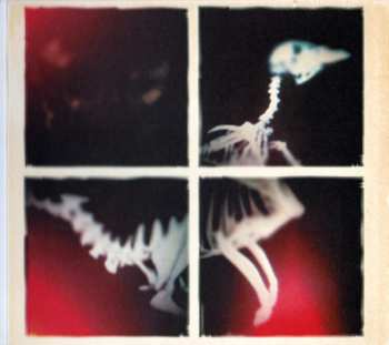 CD Echoes Of Yul: Cold Ground DIGI