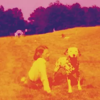 Eels: Blinking Lights And Other Revelations