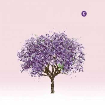 Album Eels: Tomorrow Morning