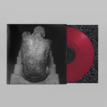 LP EKKSTACY: Forever CLR | LTD