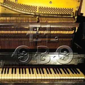 El Obo: Oxford Basement Collection