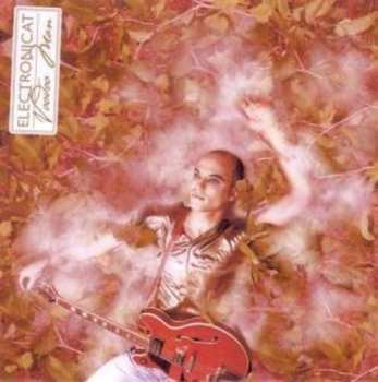 2LP Electronicat: Voodoo Man