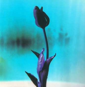 CD Element Of Crime: An Einem Sonntag Im April