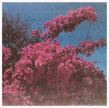 Album Elisabeth Klinck: Picture a Frame