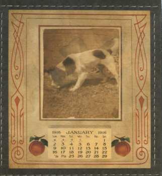 CD Elliott Brood: Mountain Meadows