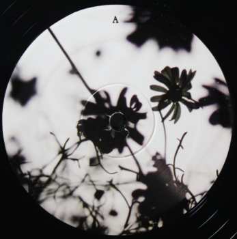 2LP Eluvium: Talk Amongst The Trees LTD