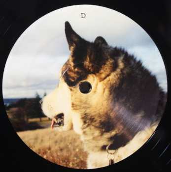 2LP Eluvium: Talk Amongst The Trees LTD