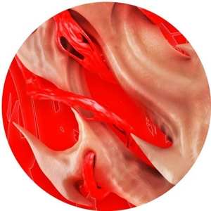 LP EndgamE: Flesh EP