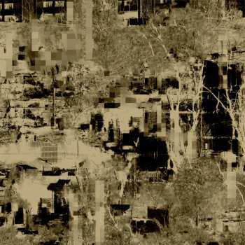 Album Endlings: Human Form
