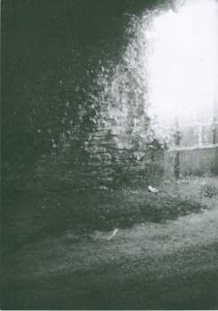 LP Enfant Sauvage: Petrichor