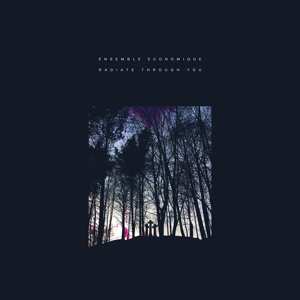 LP Ensemble Economique: Radiate Through You